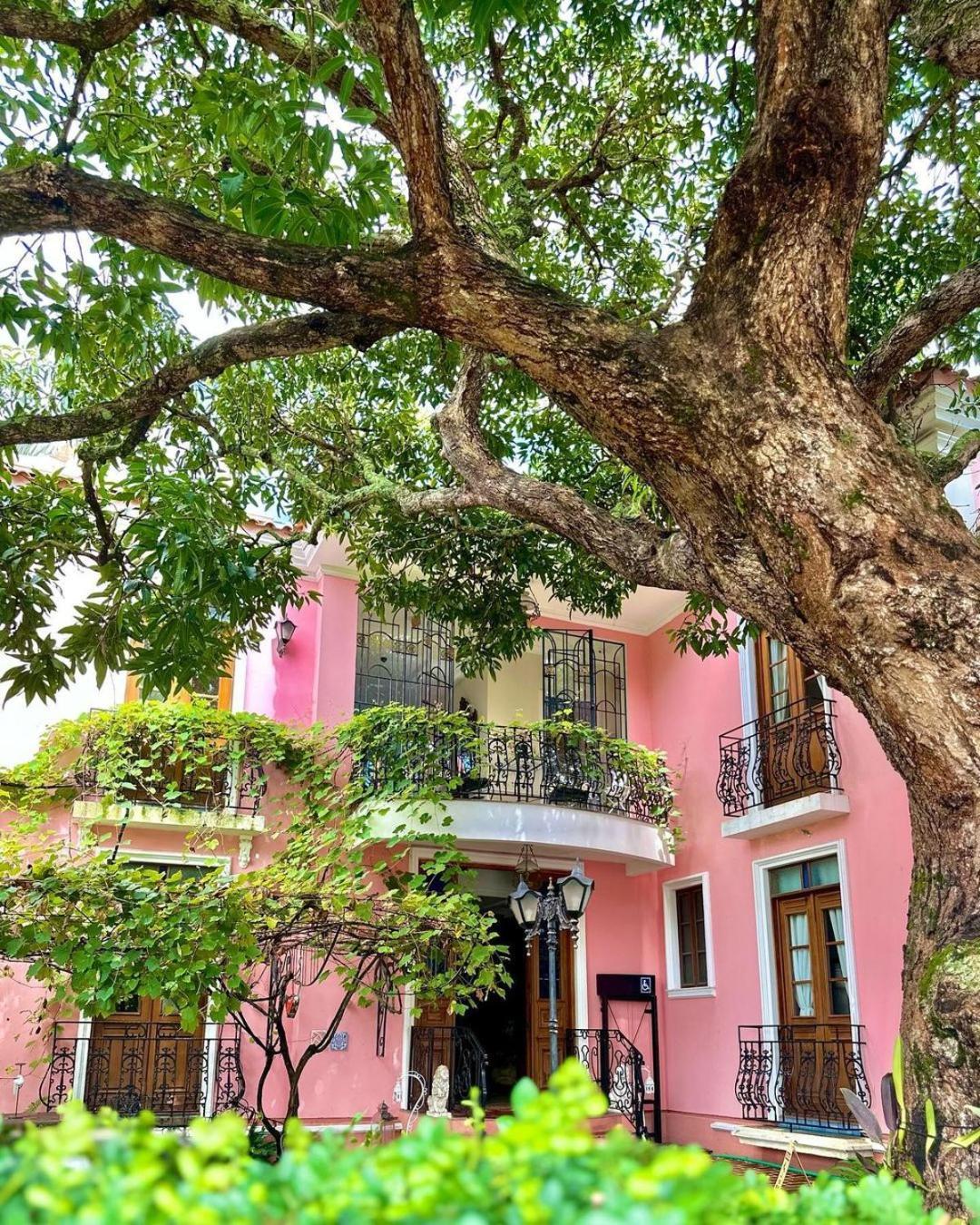 فندق هوتل بوتيك كوينتا داس فيديراس Florianópolis المظهر الخارجي الصورة